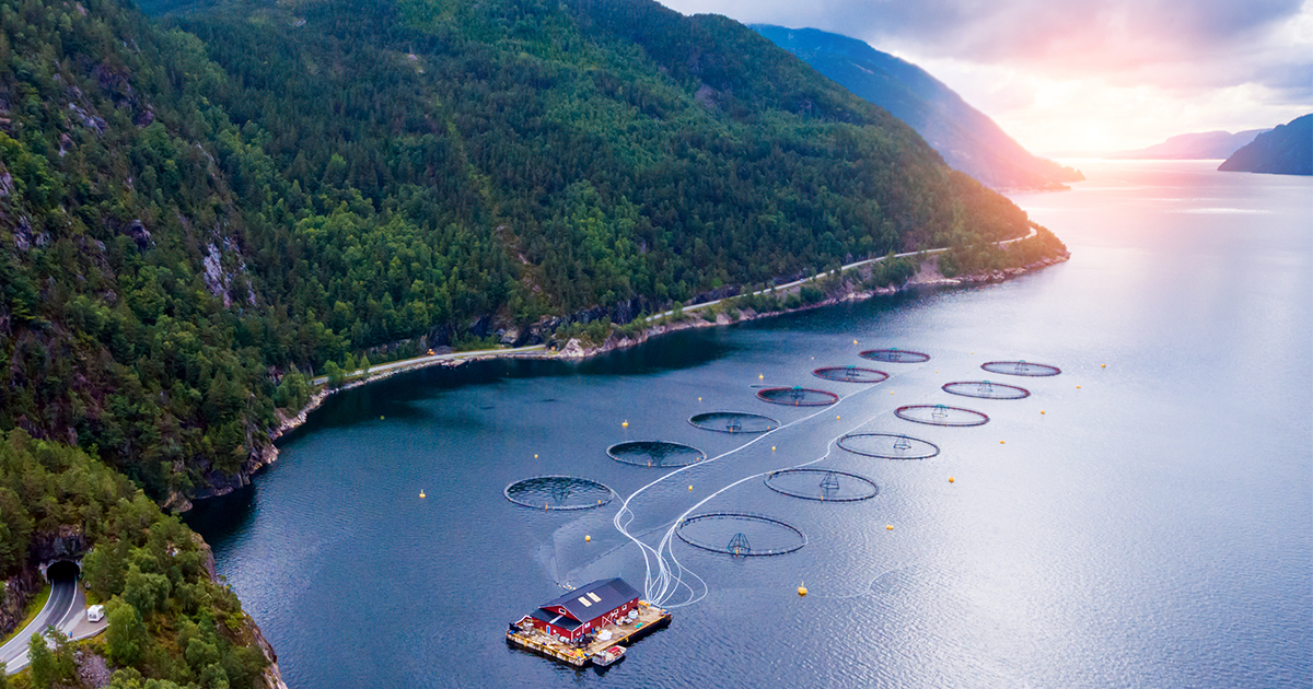 F-Tech | Avfuktere til alle formål | Proff og privat