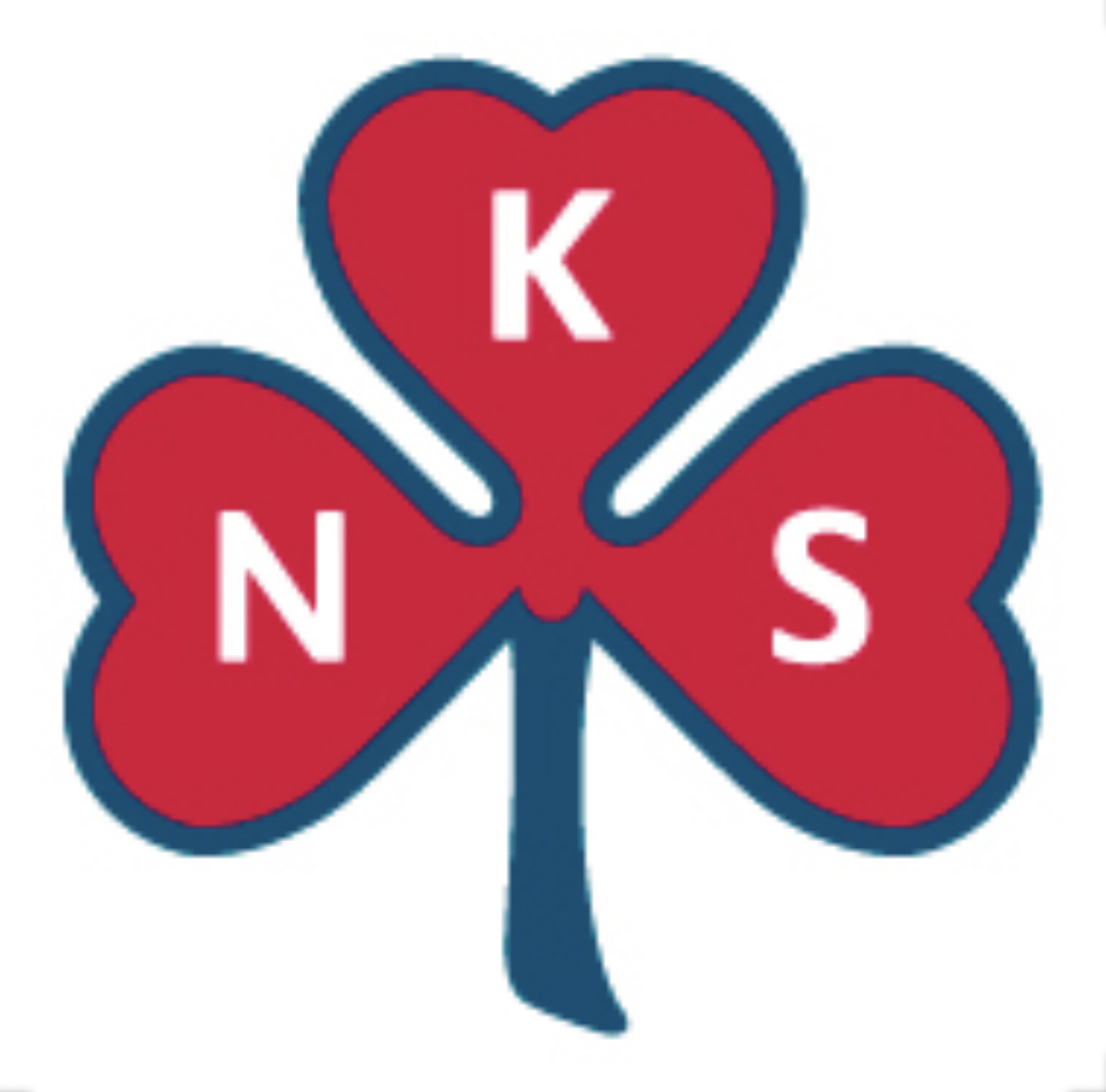 FALKENSTEN SANITETSFORENING