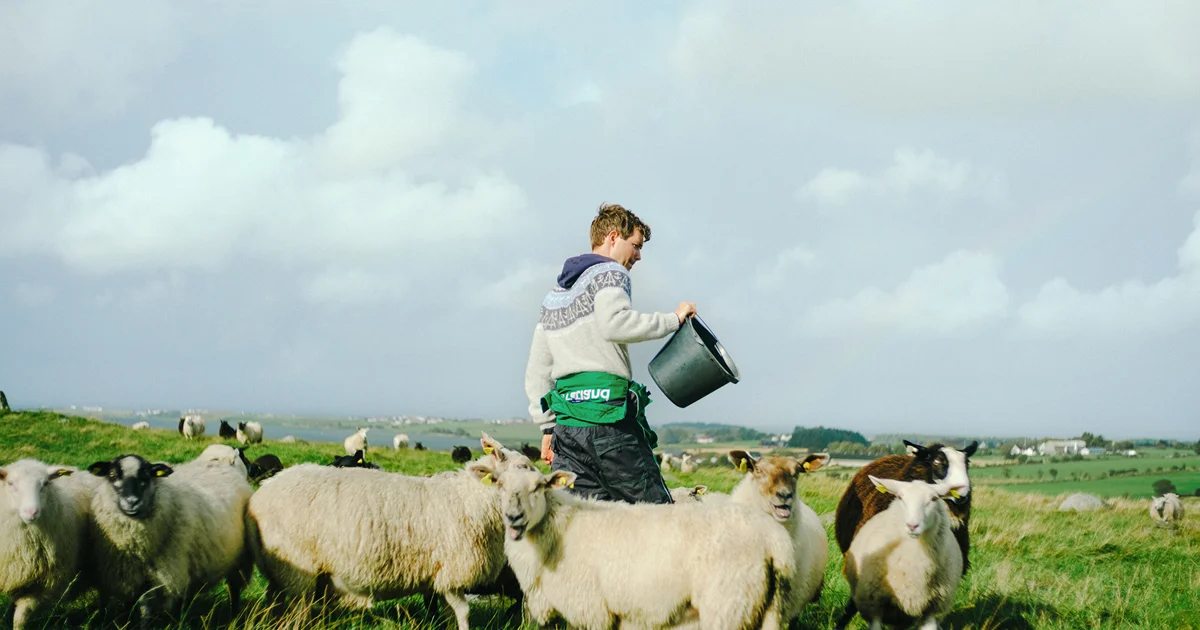 Fatland | Med bonden – og hele veien videre