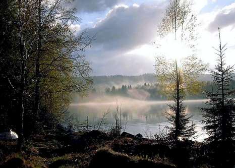 Finnskogen Kro og Motell