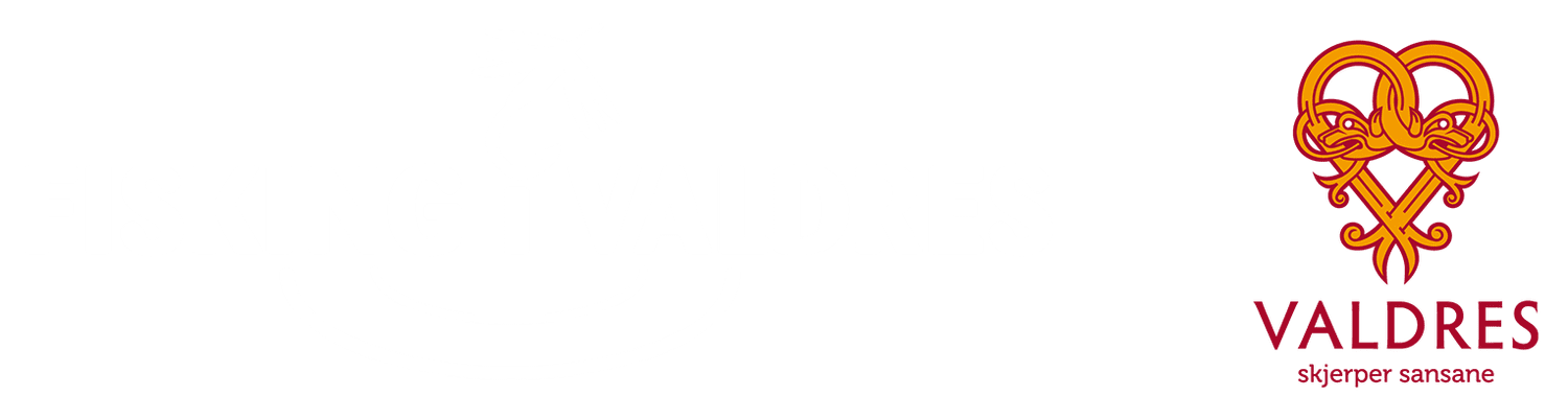 Fisking i Valdres - hjemmeside