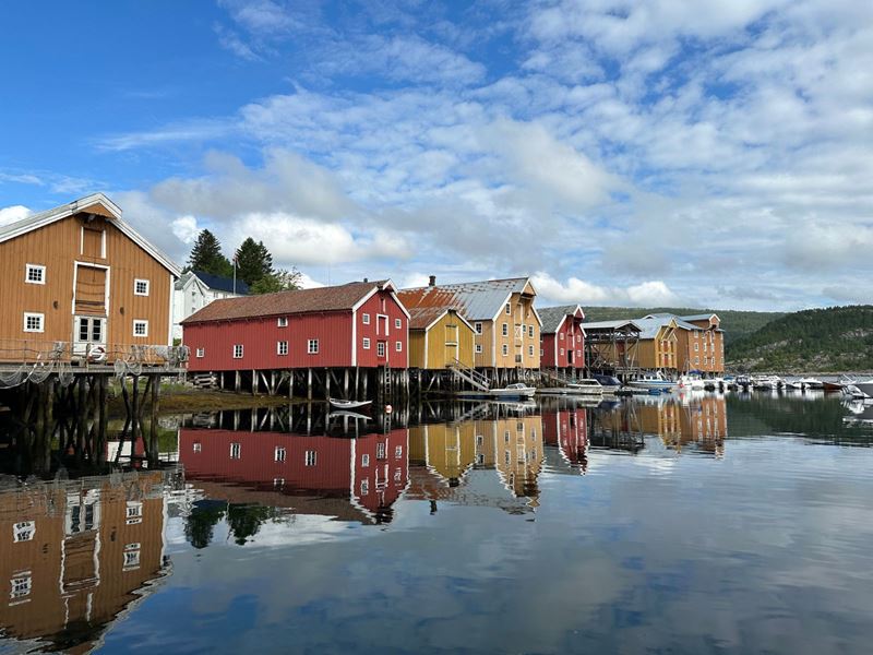 Arntzen Prosjekt og Rådgivningstjenester AS