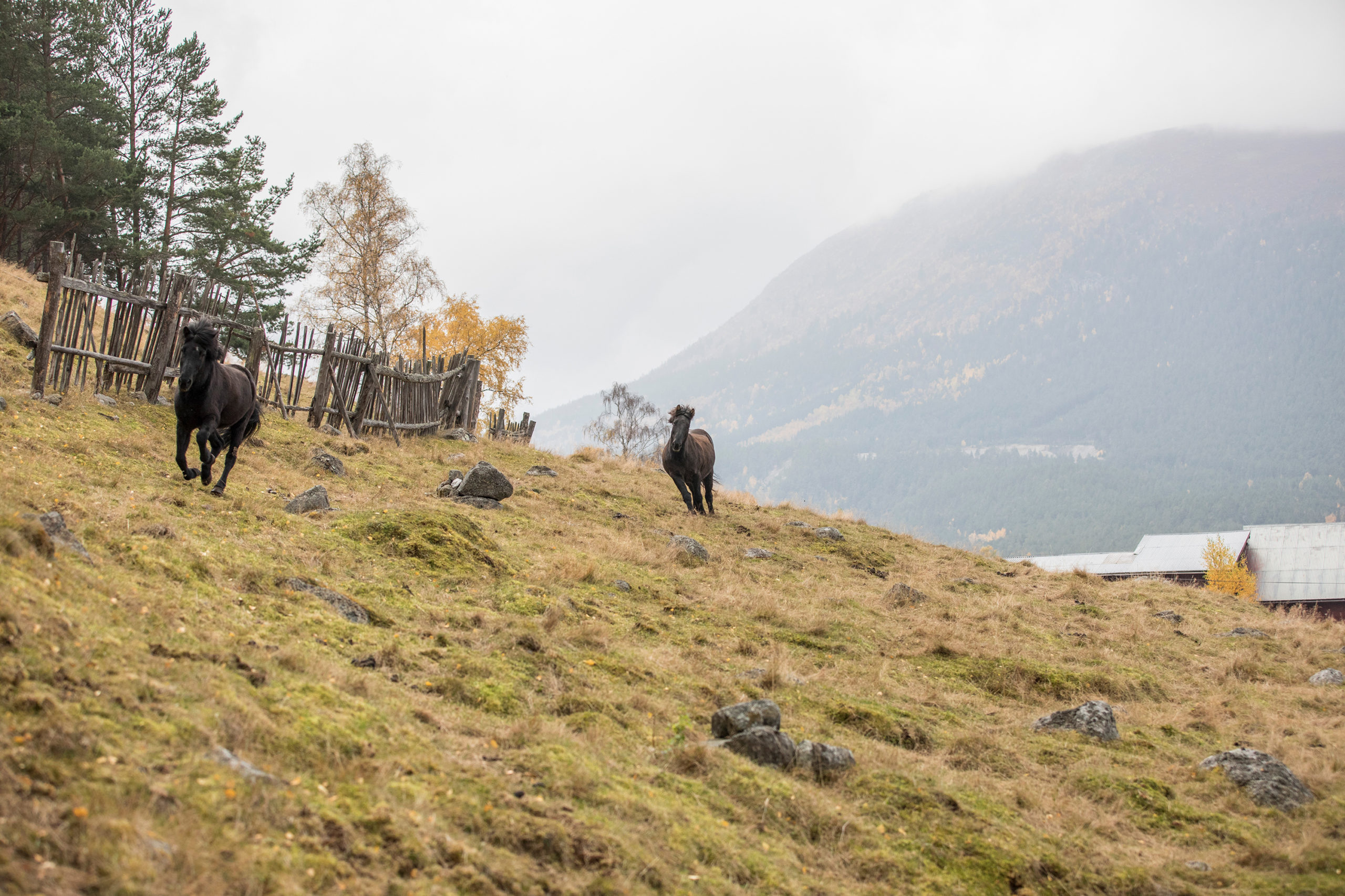 Et fjelleventyr i nasjonalparkriket - Fjelleventyret