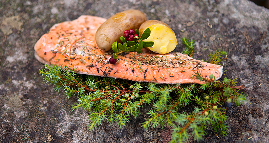 Fjellfolket Helgeland