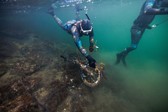 Partiet fjordens venner