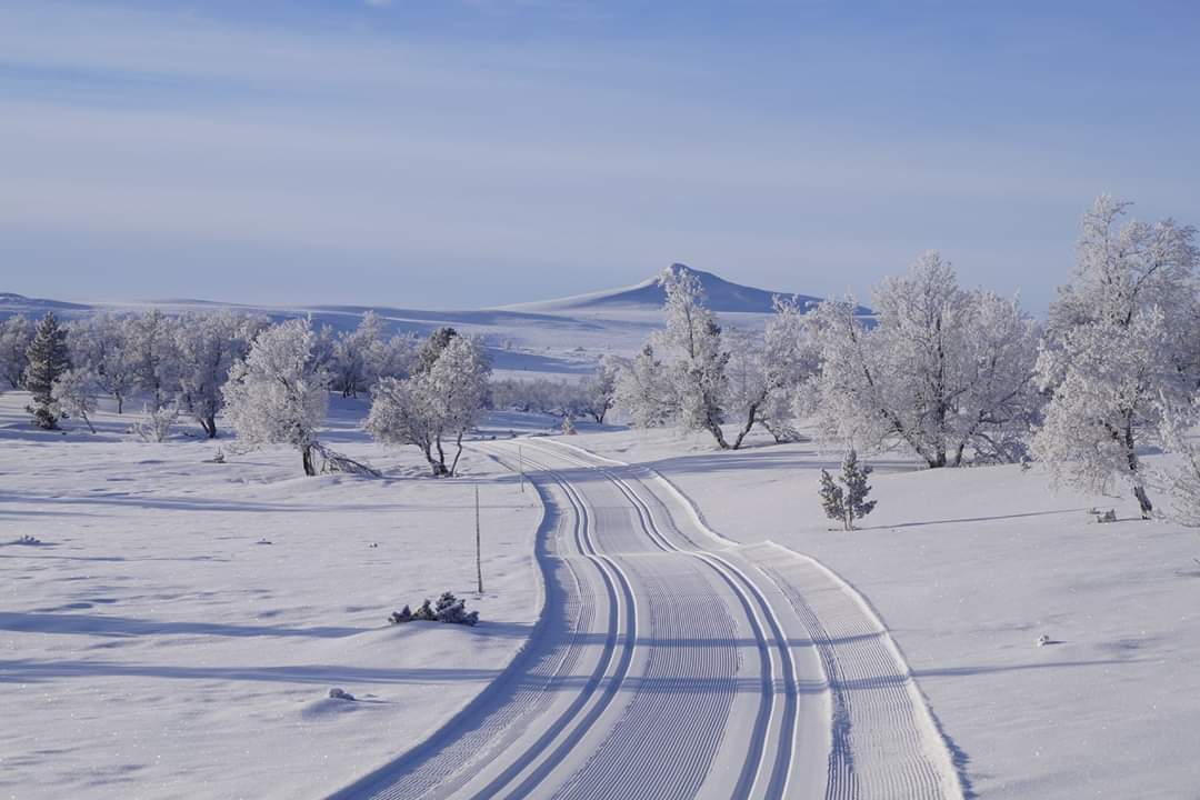 Startsiden - Folldal Turlag