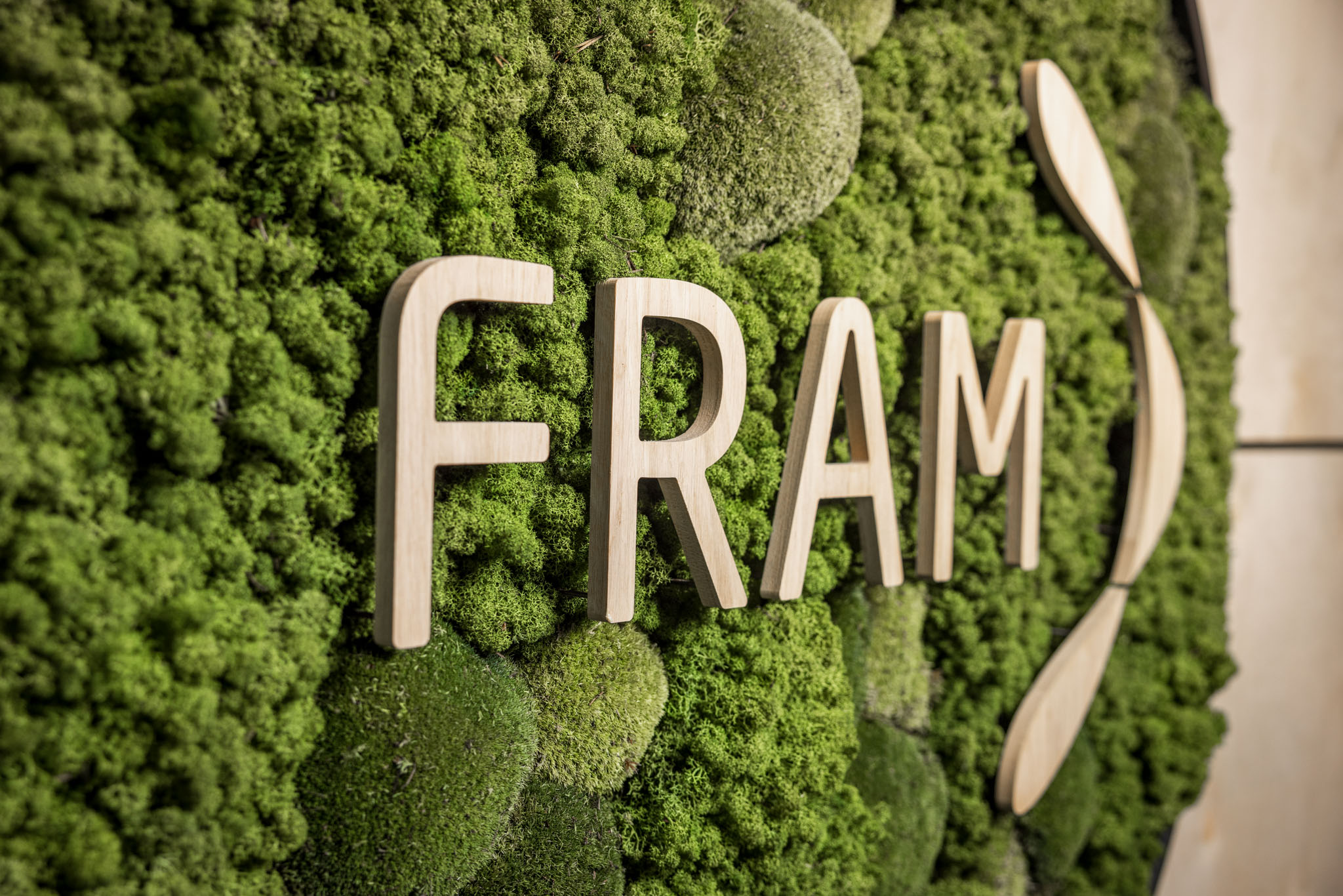 Forside | Fram Revisjon