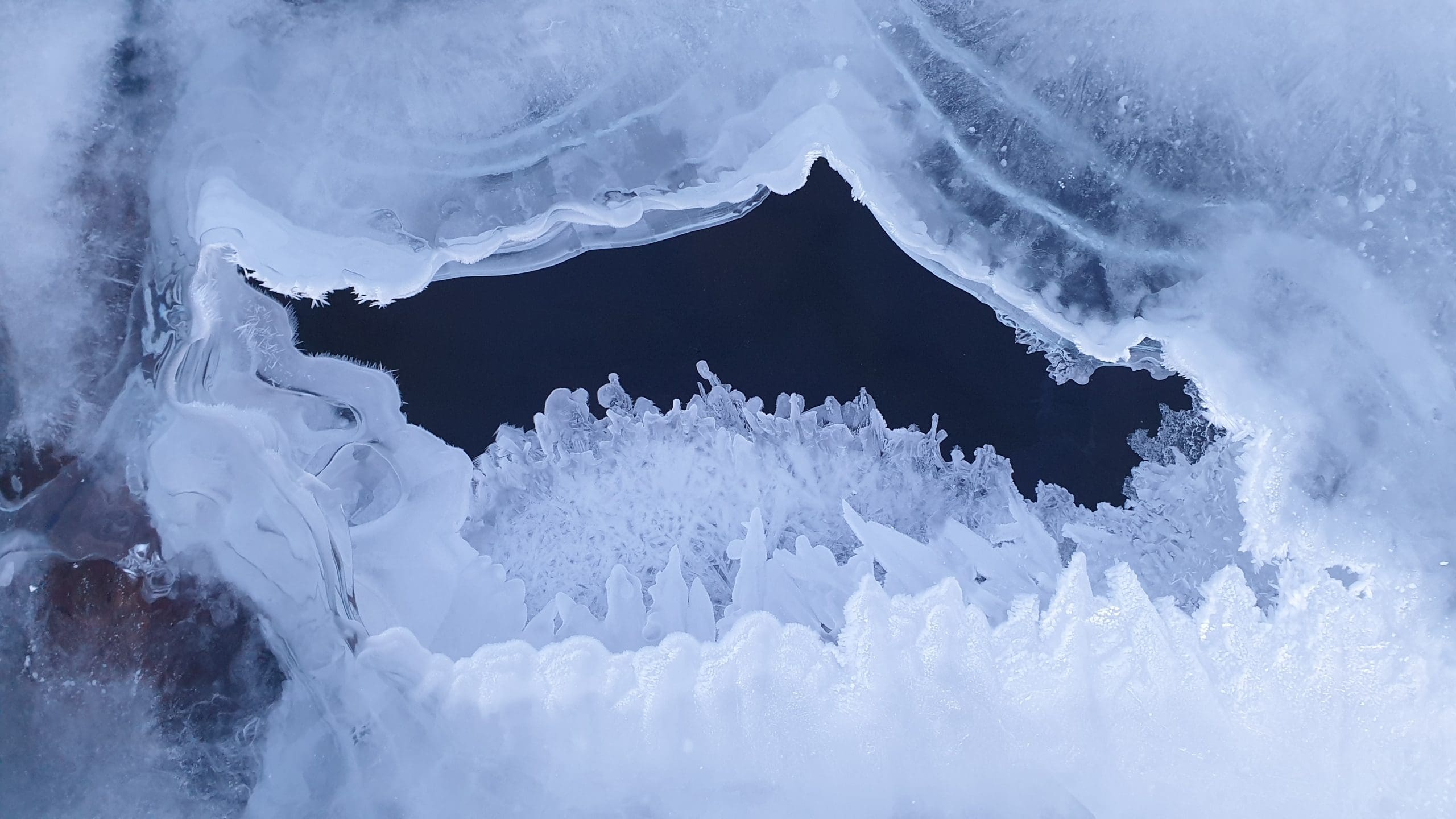 Fram Forum - Stories from the Fram Centre