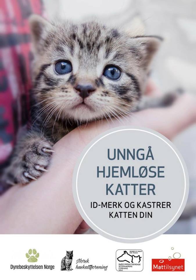 Dyrebeskyttelsen Norge Fredrikstad og Omegn