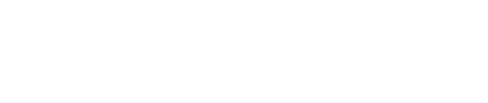 Fredrikstad Sanitetsforening