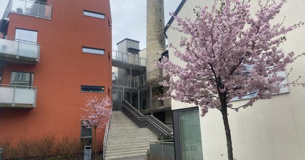 GAMLE MARGARINFABRIKKEN SAMEIE | En tjeneste fra OBOS