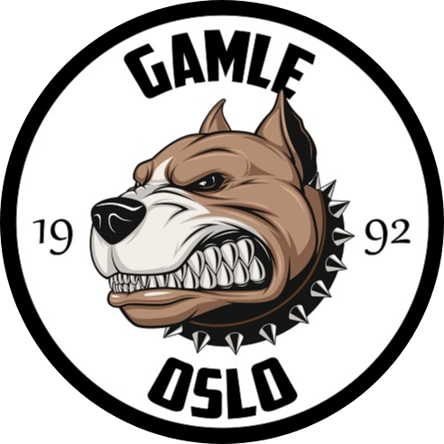 Velkommen! Velkommen til Gamle Oslo Ishockeyklubb