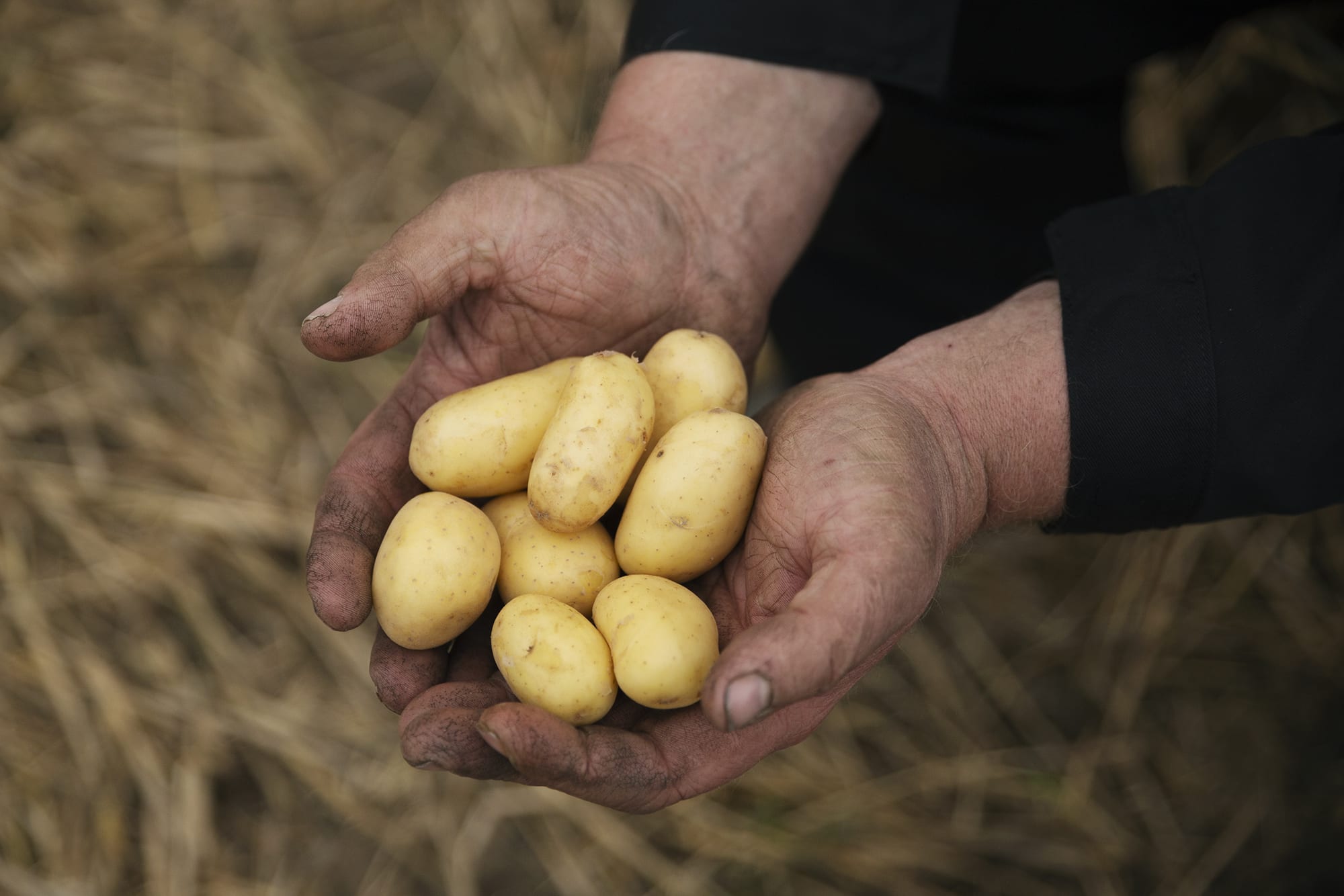 Velkommen til Gartnerhallen.no | Gartnerhallen