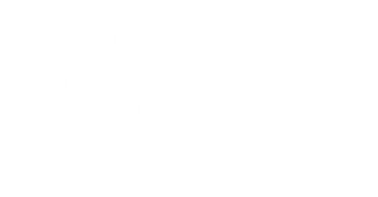 Company | ARiTeh