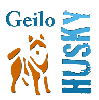 Husky Norway | Geilo | Dogsledding - Hundekjøring