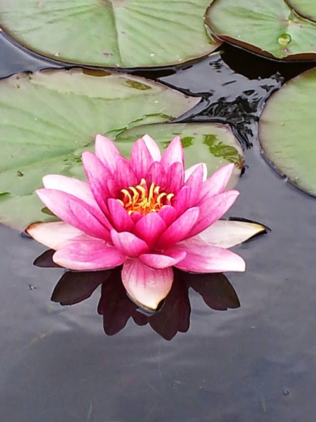 Godkjent Healer | Gerd Astrid Healing & Coaching | Rogaland