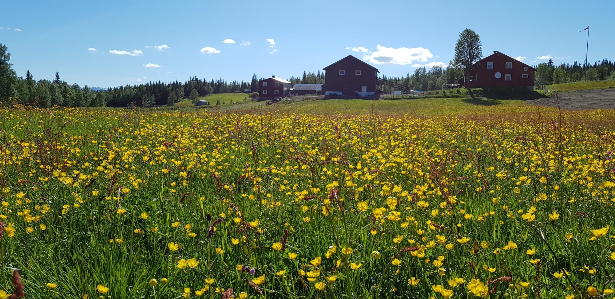 Gjefsjø | Fjellgård | Overnatting | Snåsa | Jakt | Fiske | Operasjon Rype