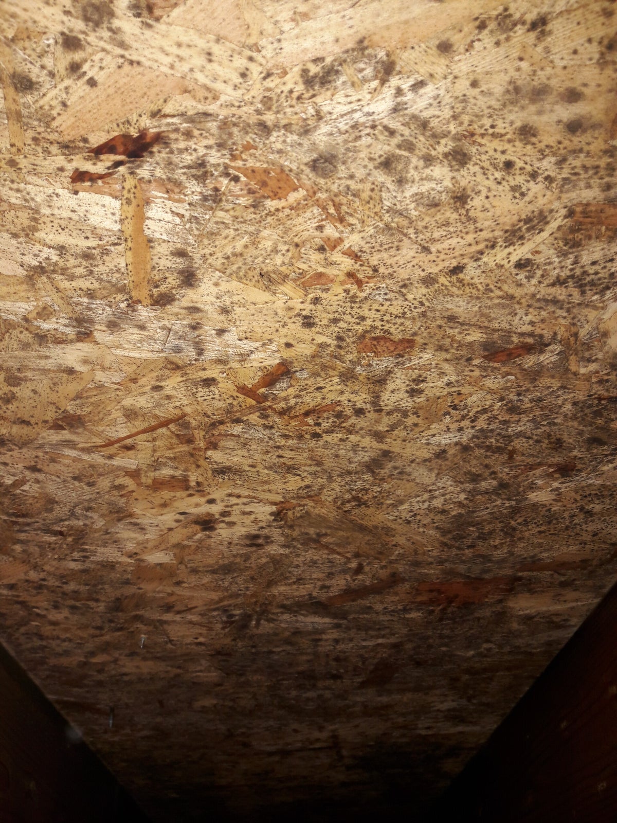 Granerød Miljøsanering AS