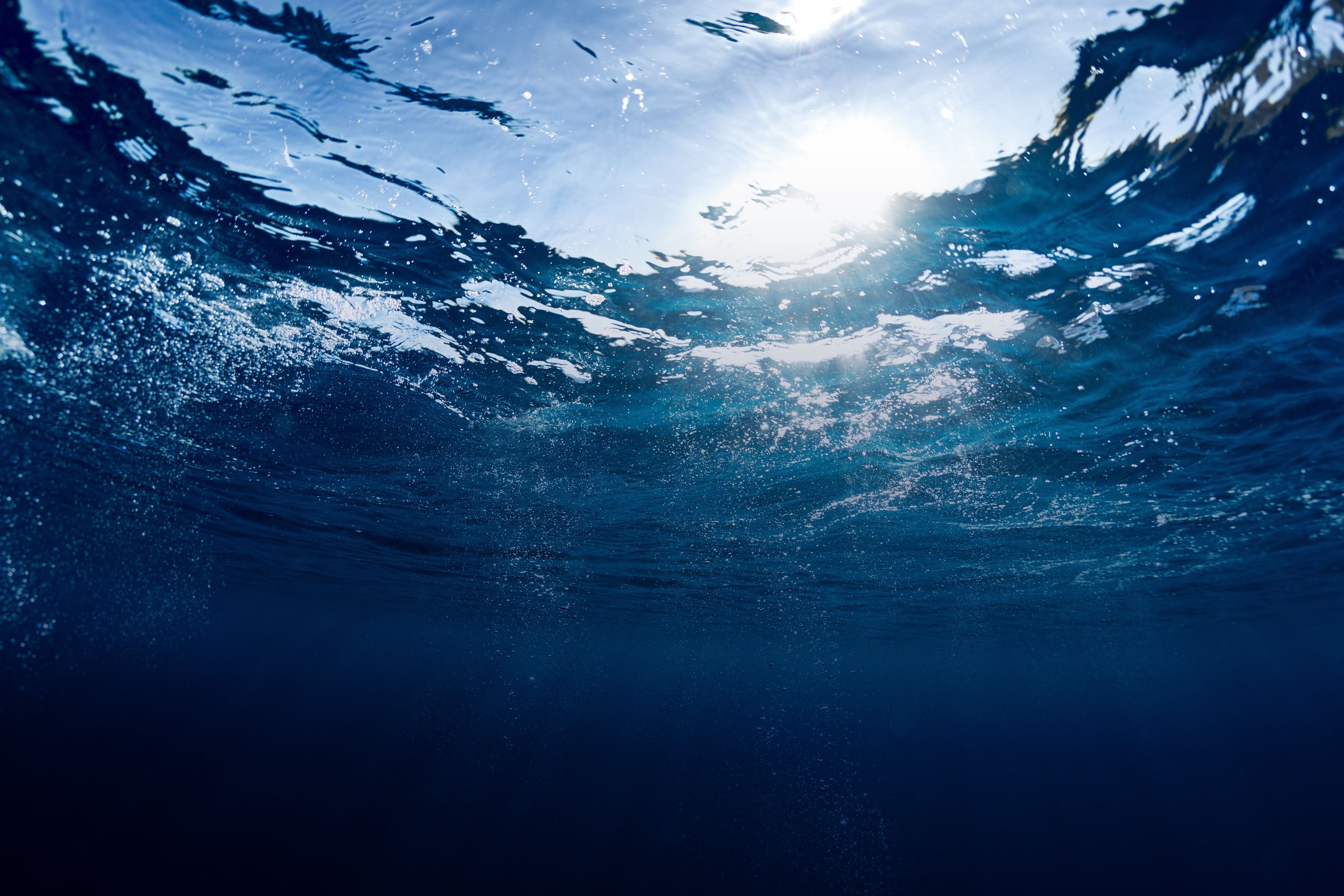 Grieg Seafood – Rooted in nature