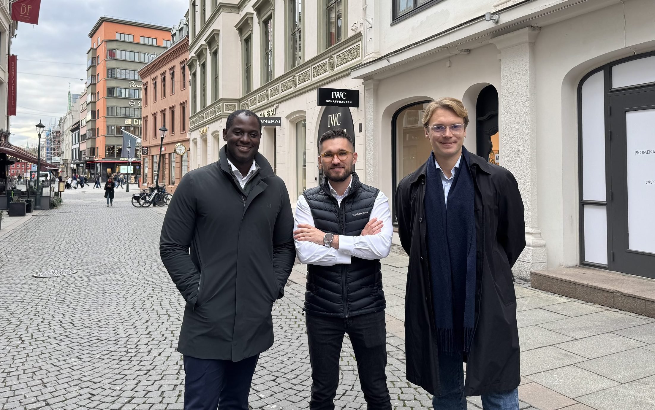 Gritera: IT-konsulenttjenester