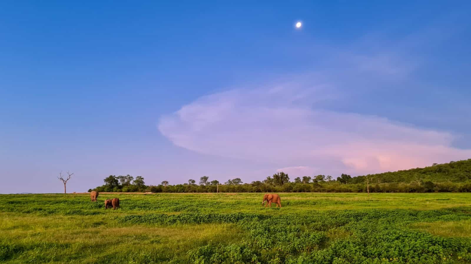 Home | The Grown-Up Travel Company