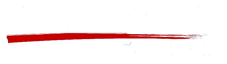 Grua Auto