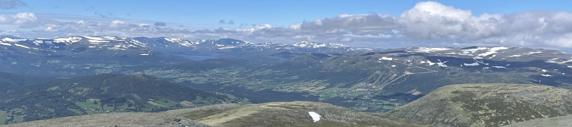 Assistare - assistare.no