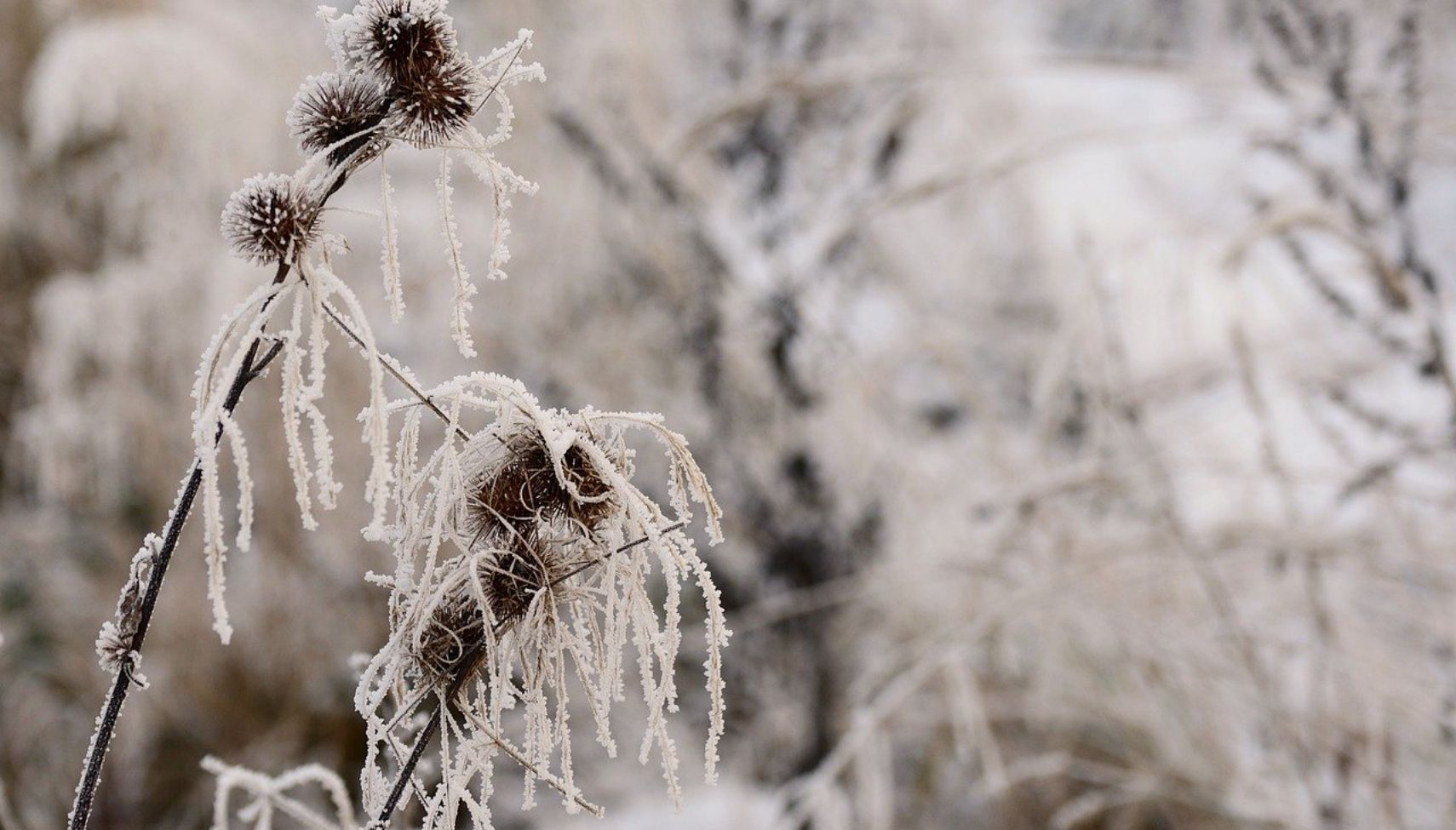 Trafikksenteret-Gule biler AS