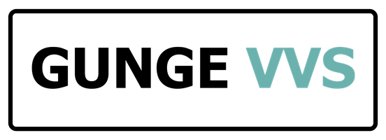 GUNGE VVS