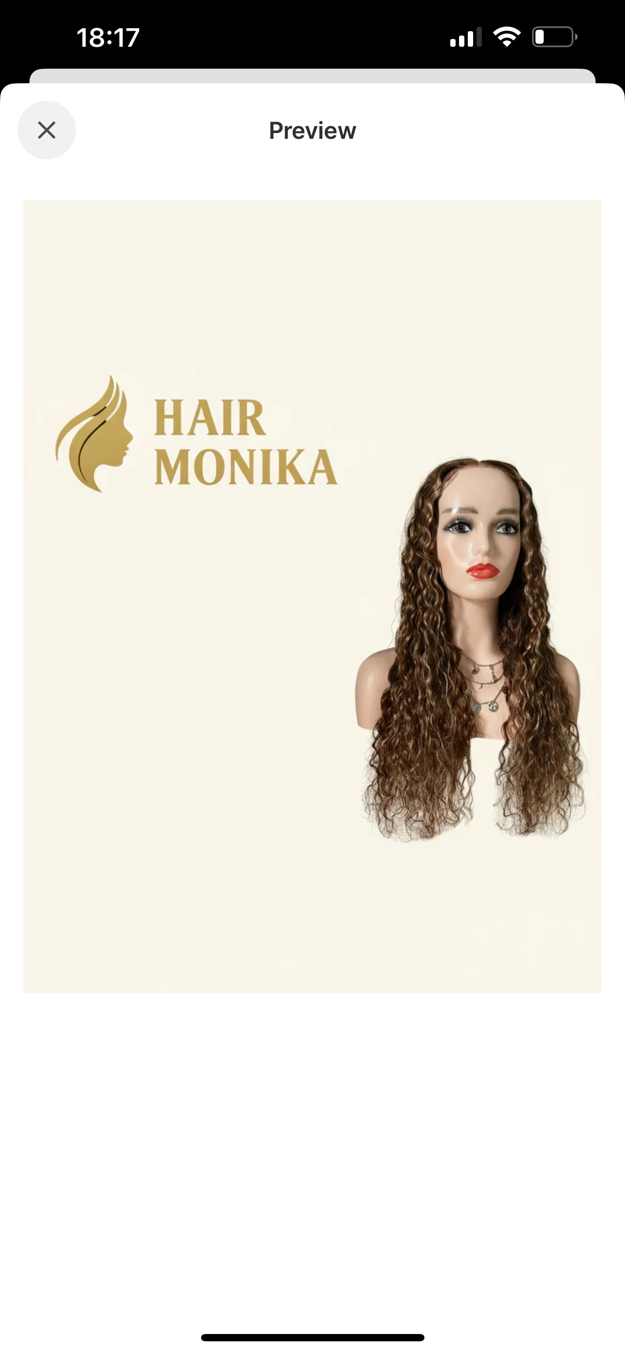 Hair Monika - Premium Wigs & Hair Extensions in Norway
