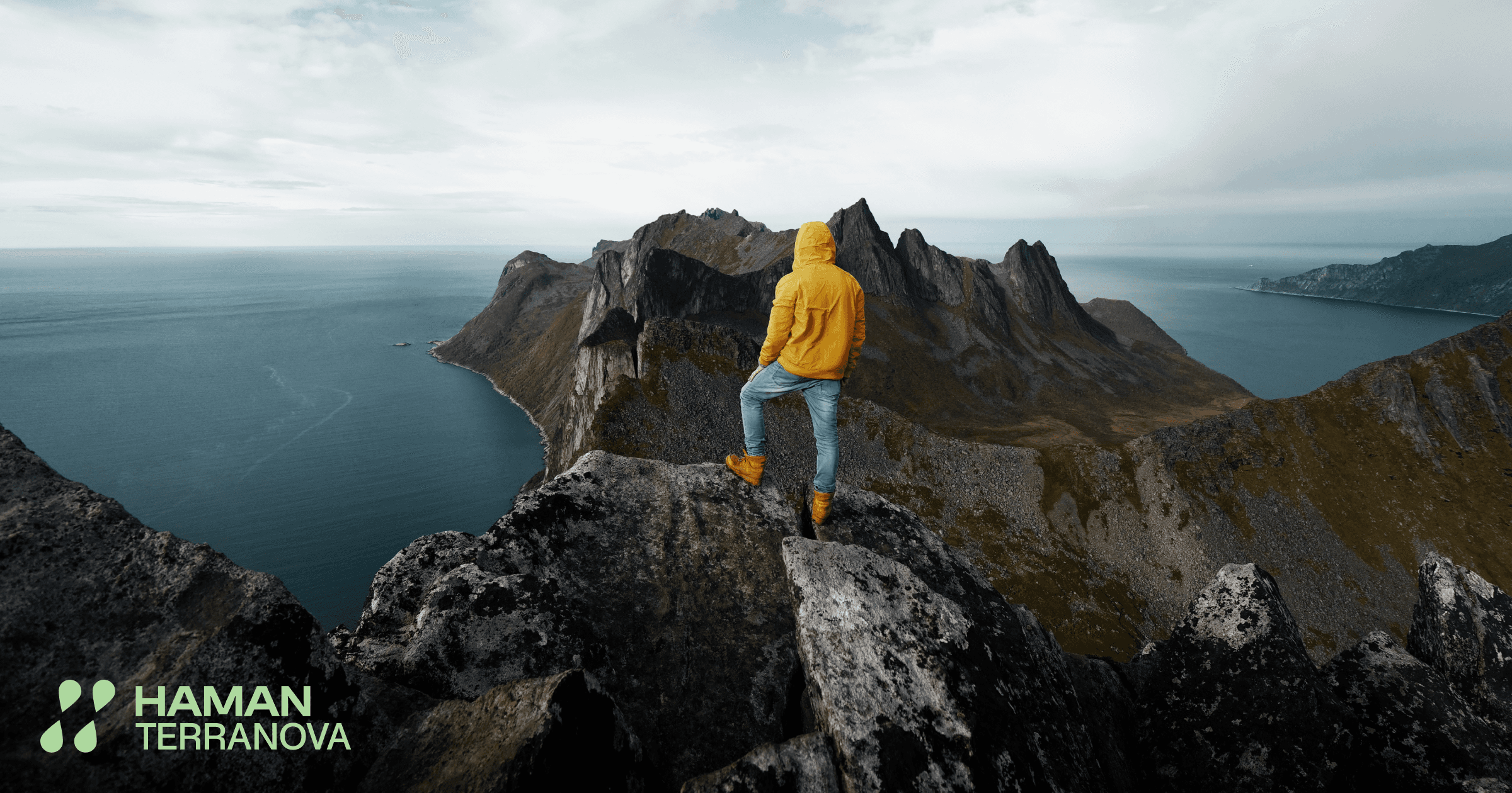 Home — Haman Terranova