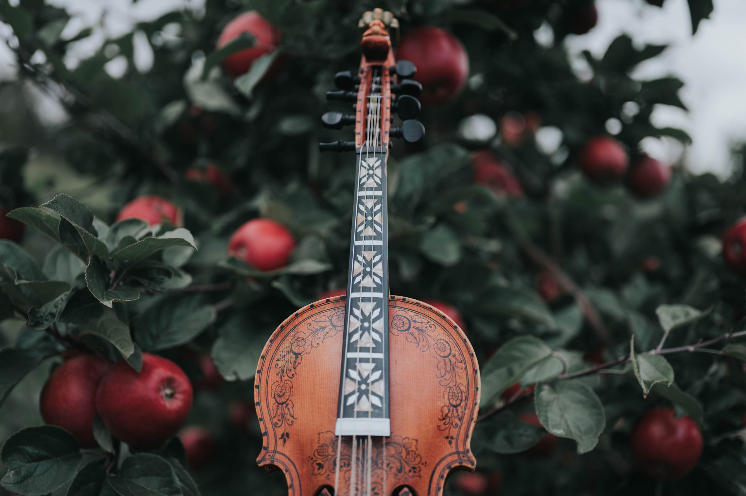 Heim | Hardanger Musikkfest | Lofthus, Norway