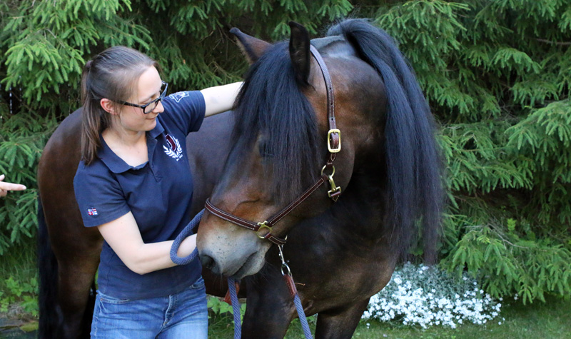 Dyrekiropraktor Camilla Viken