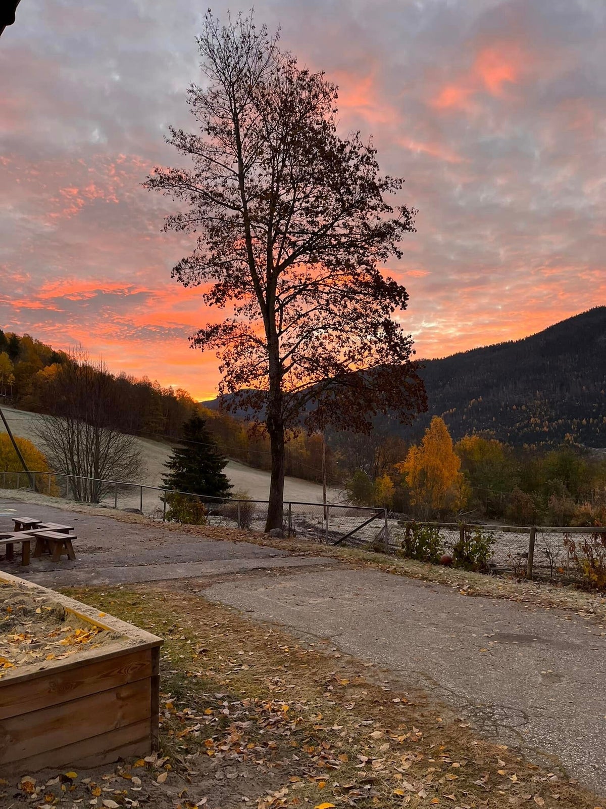 Hjartdal Montessoriskule