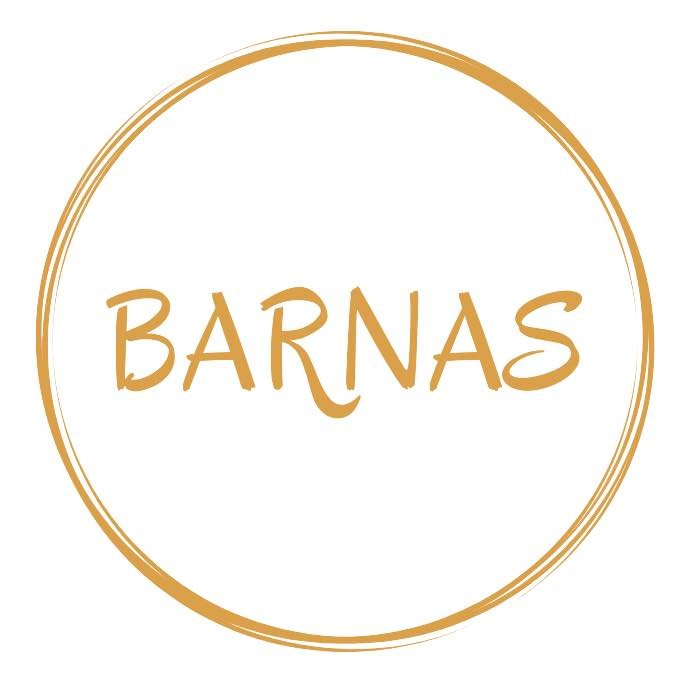 Barnas rettigheter