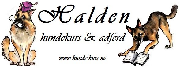 hunde-kurs.no