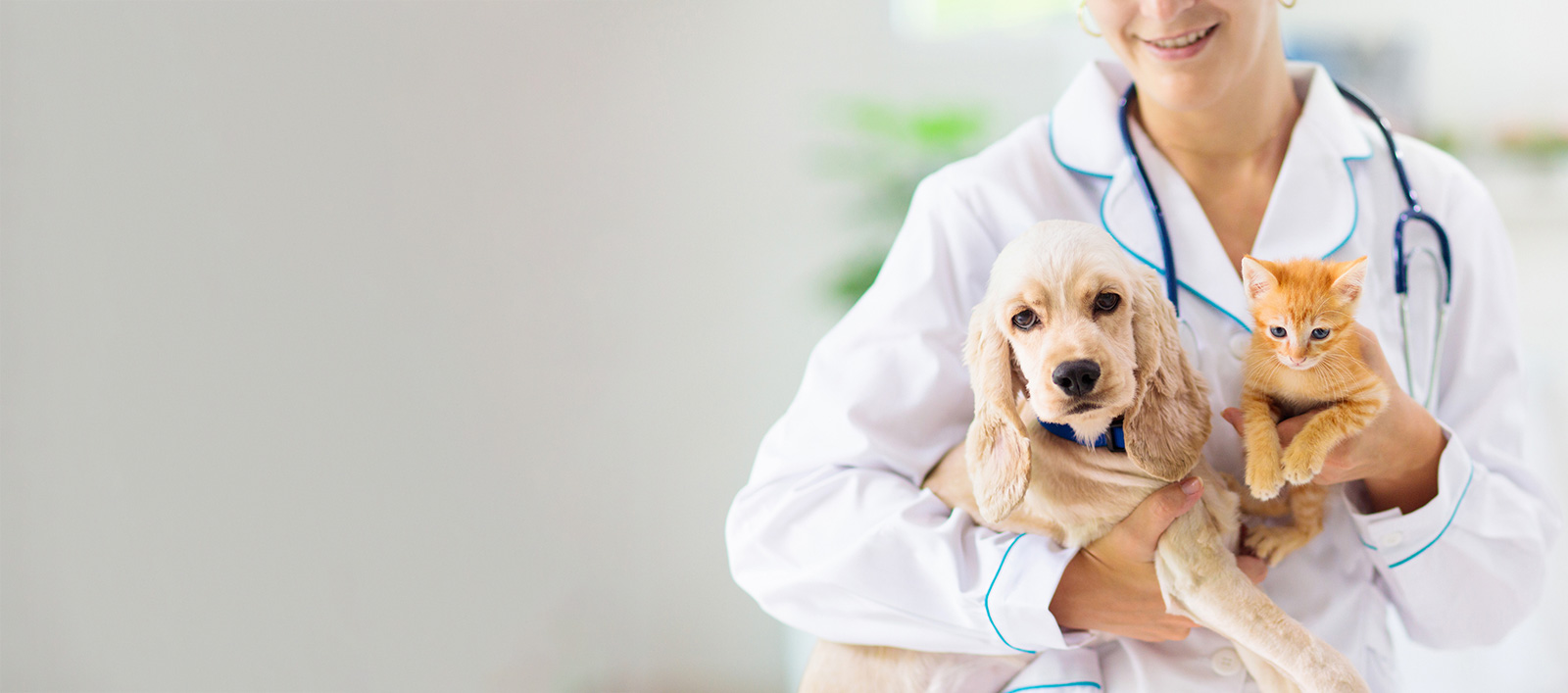 Forside - Hundehelse.no