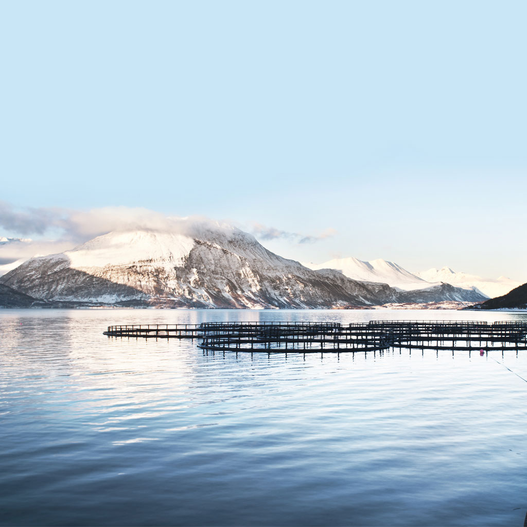 Hygienegruppen AS - din samarbeidspartner