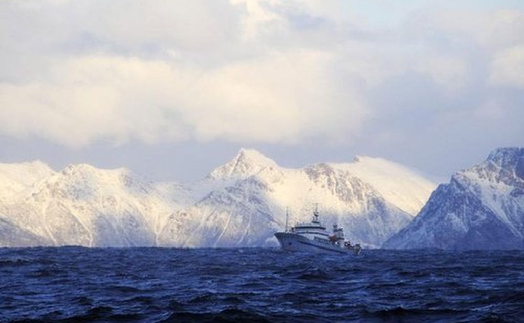 Havforskningsinstituttet