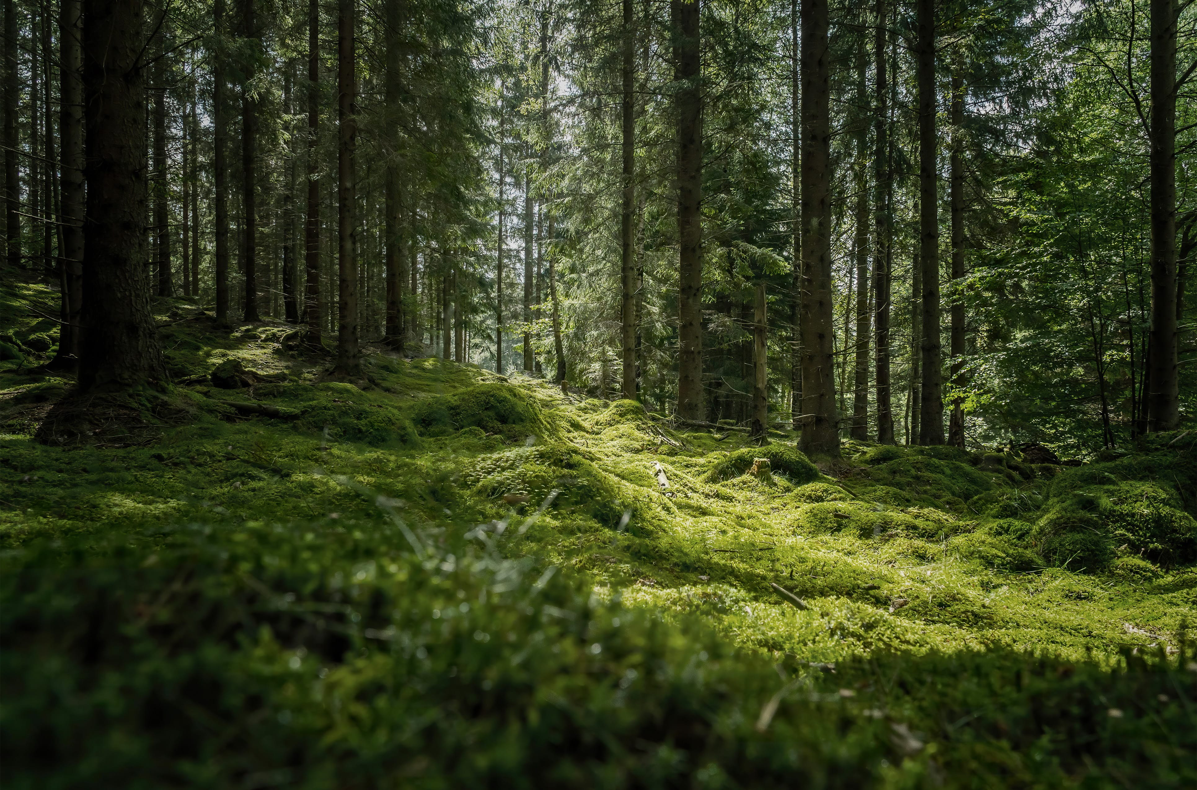 Init - Industrial It & Automation