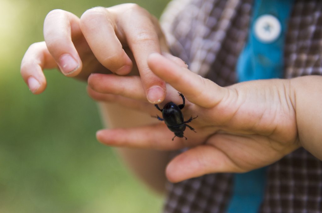 Som prinsessa i egget - Inn På Tunet