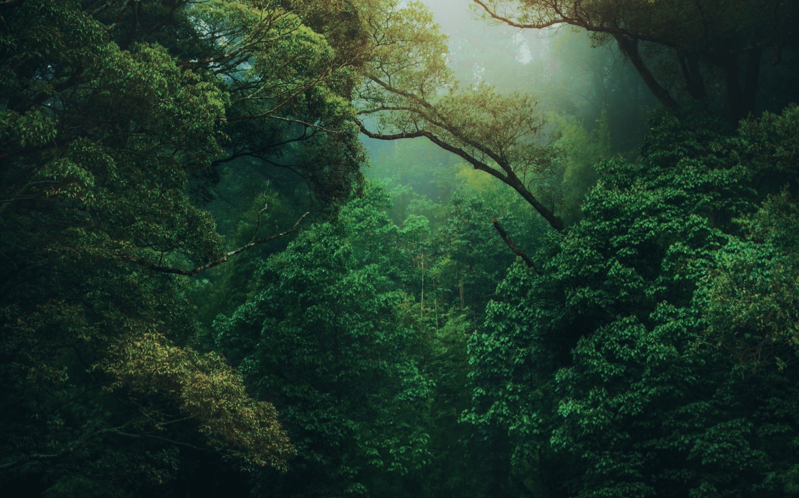 ITEK Green Technologies | Smart Solutions to Capture Pollution