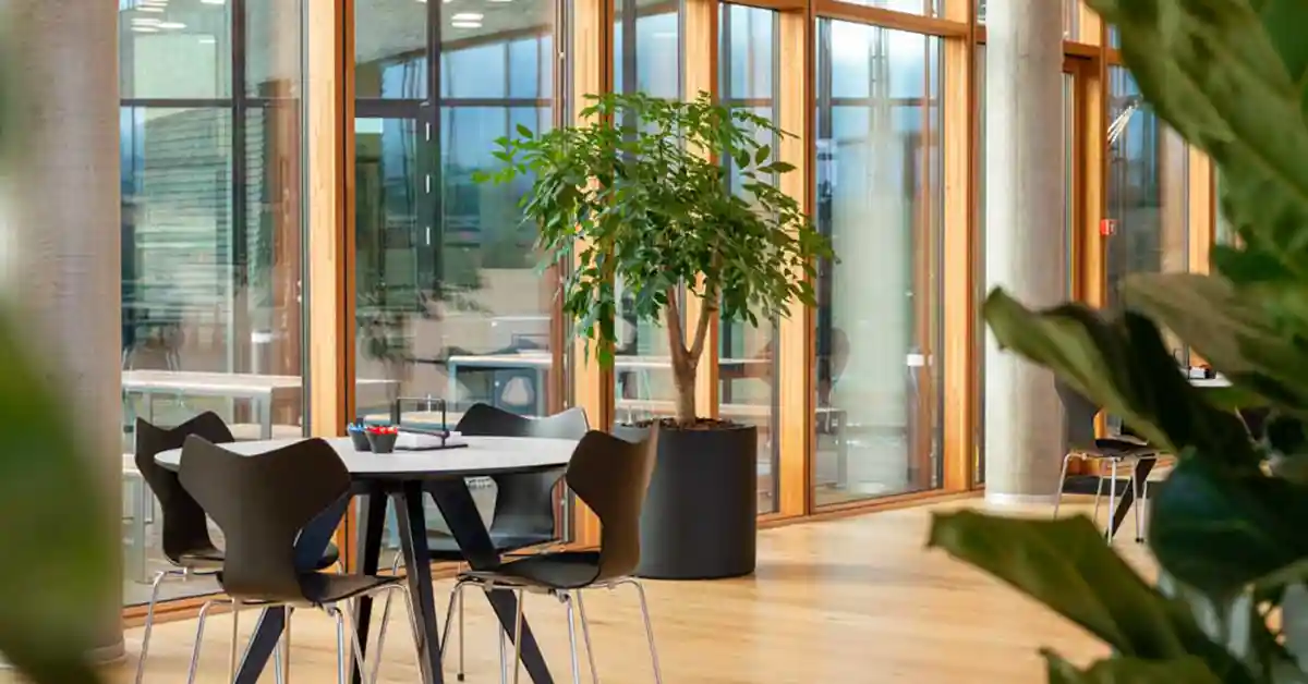 Jydsk Planteservice | Landsdækkende Planteservice | Læs mere