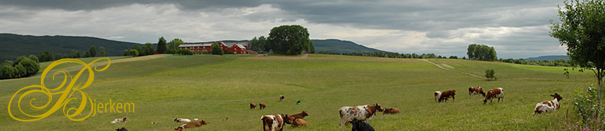 Hjem - Bjerkem