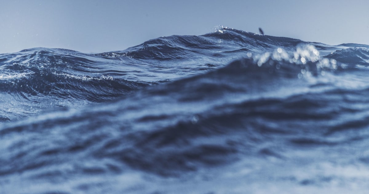 Ei familiebedrift med lange tradisjonar. Heilt tilbake til 1886.