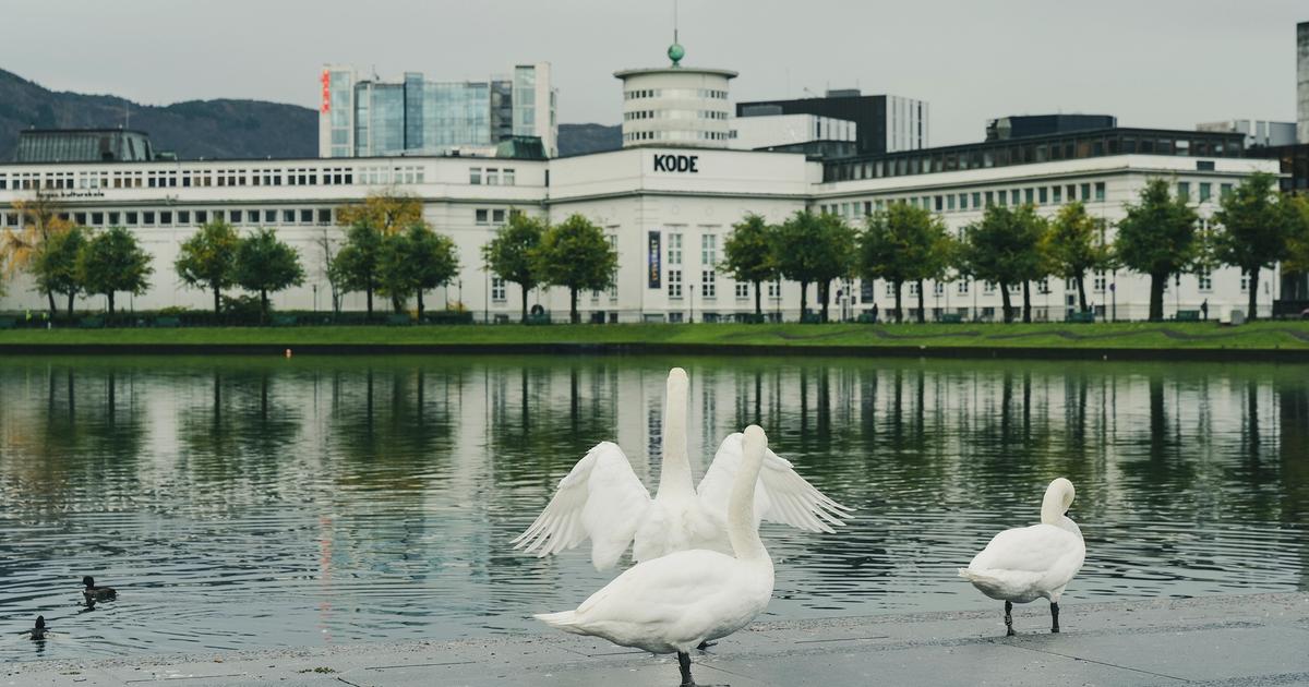 Museum for kunst, design og musikk i Bergen | Kode