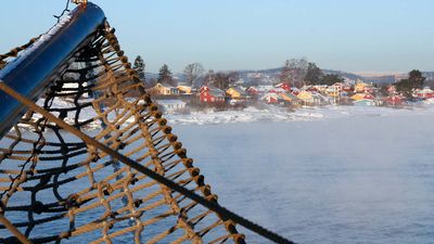 Boatservice Sightseeing