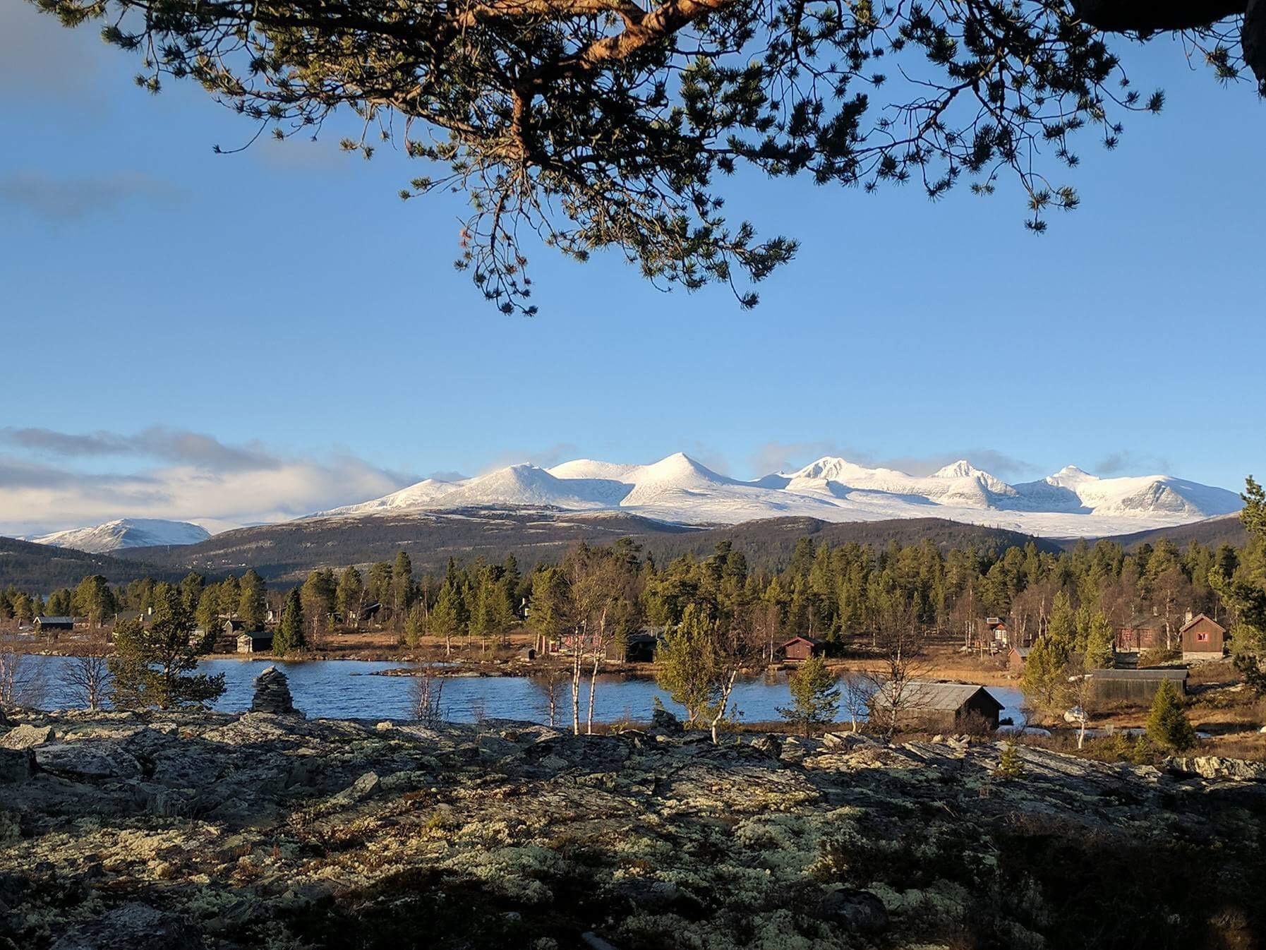 Forside - Kvamsfjellet