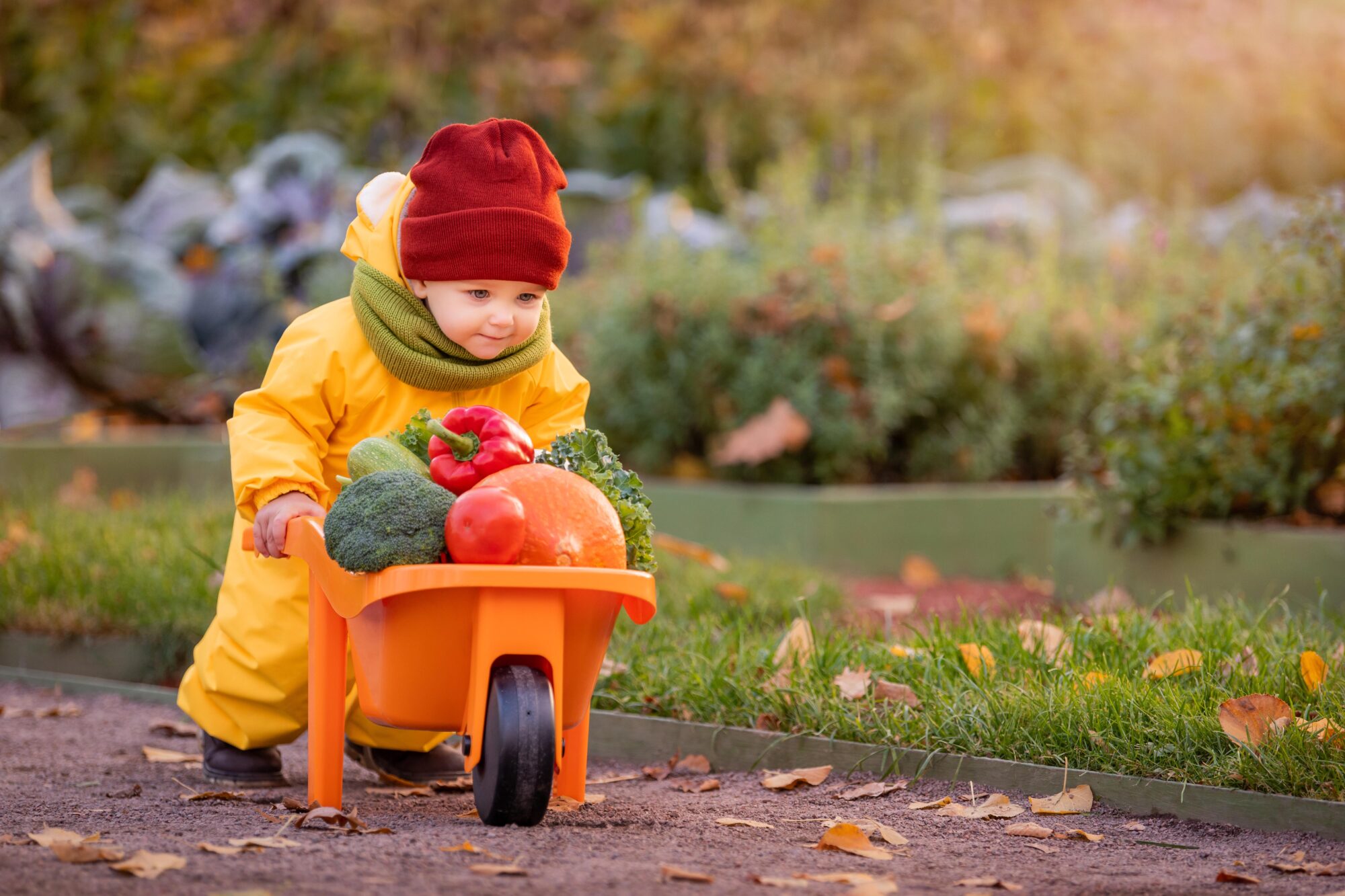 Norsk Landbrukssamvirke