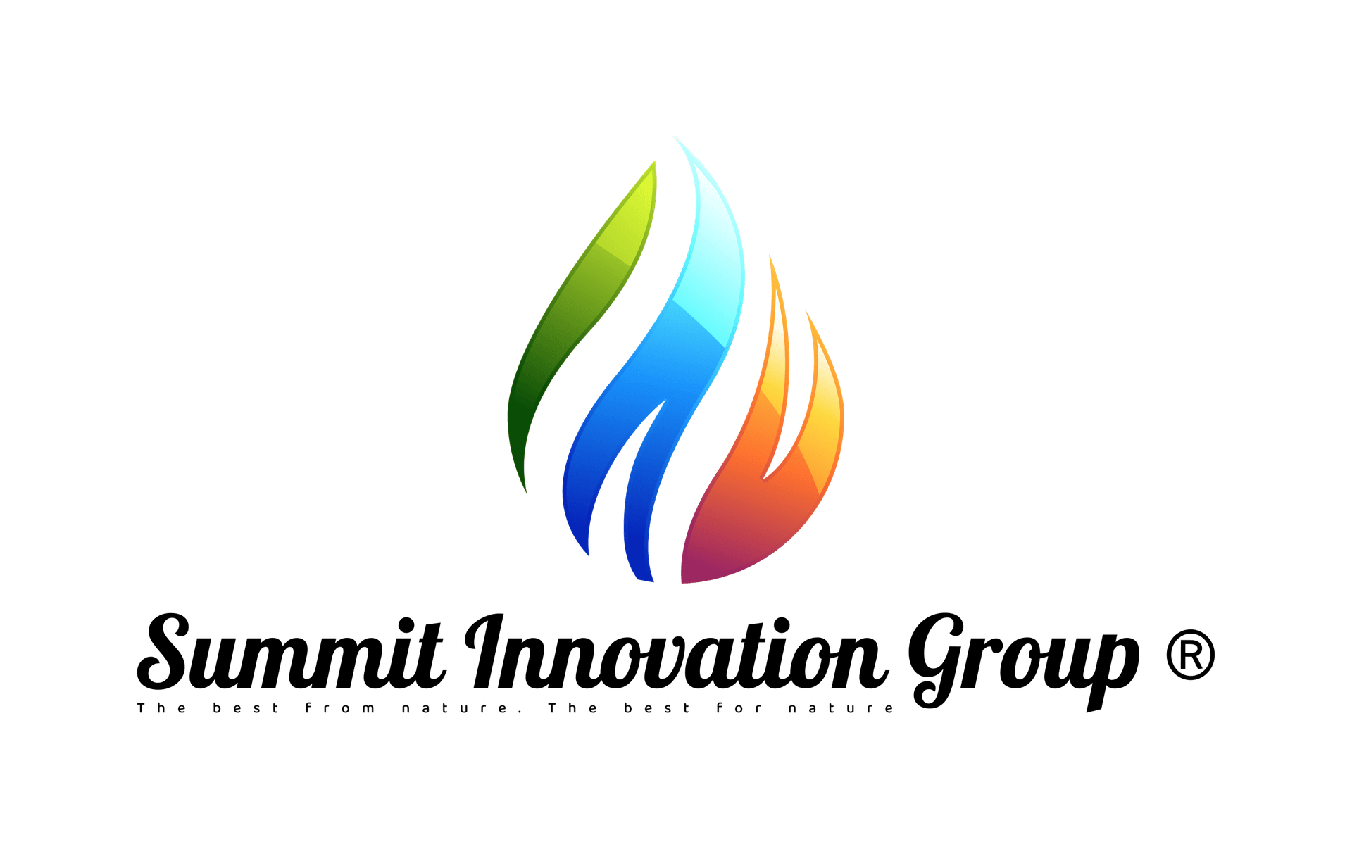 Summit Innovation Group ®
